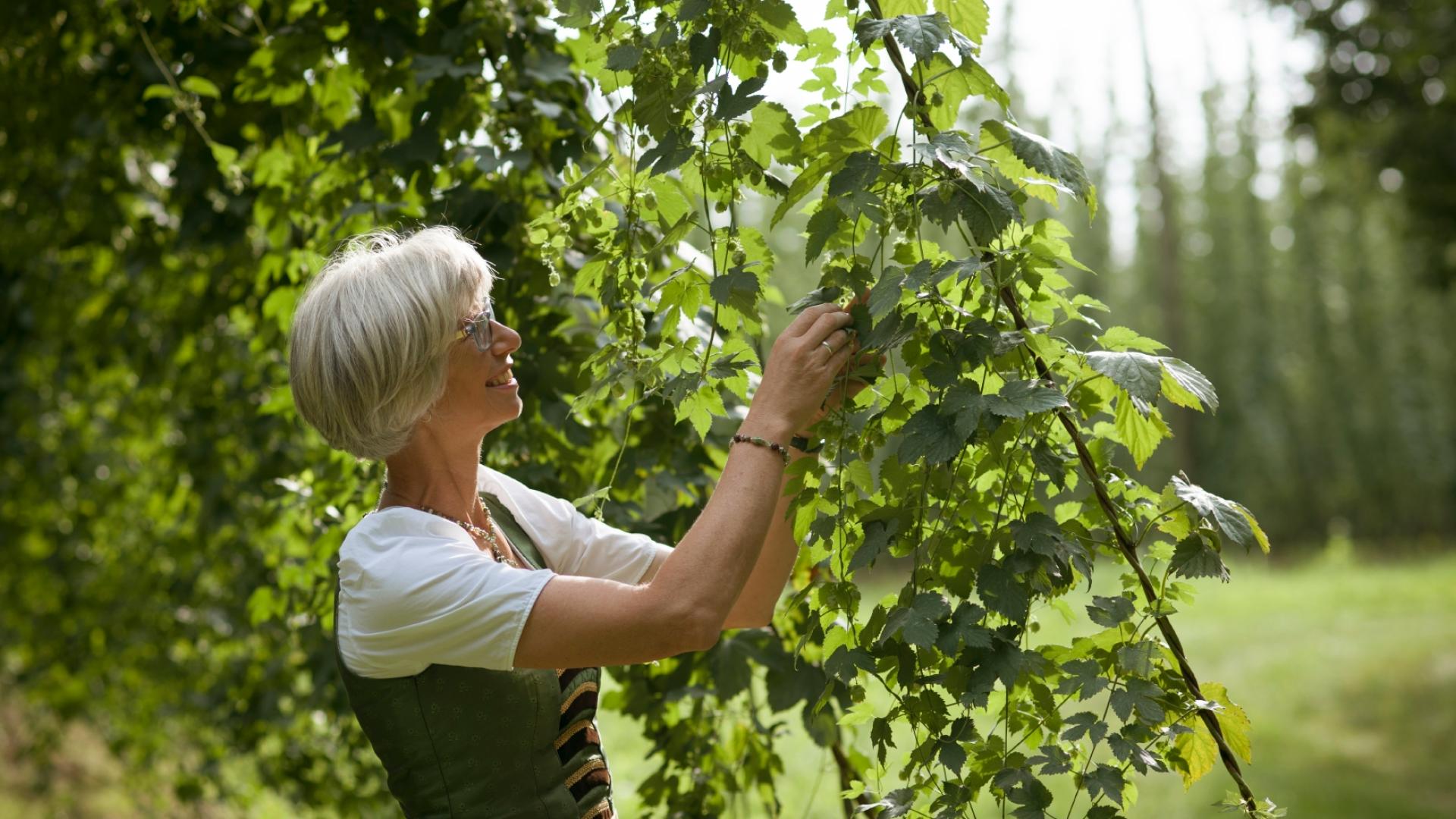 Mit Elisabeth Stiglmaier die Kulturlandschaft Hallertau hautnah erleben