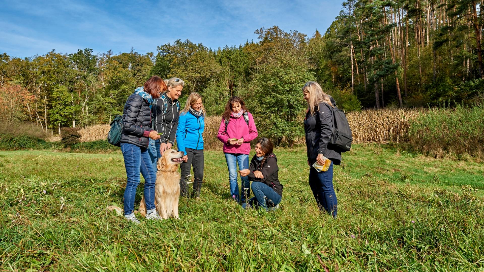 Dagmar von der Grün: Die Heilpraktikerin zeigt der Gruppe die heimischen Heilkräuter im Altmühltal